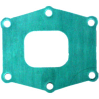 Intake gasket athena