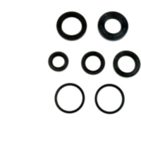 Engine oil seal kit P400010400022