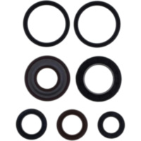 Engine oil seal kit P400480400125