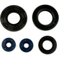 Engine oil seal kit P400010400014