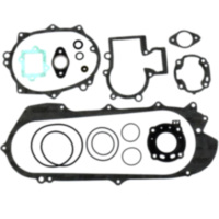 Complete gasket / seal kit P400010850023