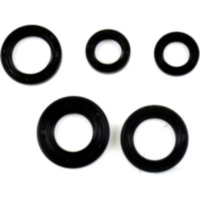 Engine oil seal kit P400510400019