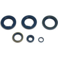 Engine oil seal kit P400270400051