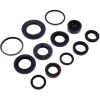 Shaft seal set athena P400325400001