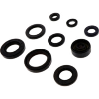 Engine oil seal kit P400485400048