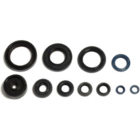 Engine oil seal kit P4004854001151