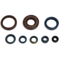 Engine oil seal kit P400220400128