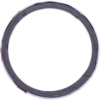 Exhaust gasket S410210012005