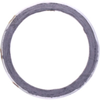 Exhaust gasket S410510012007