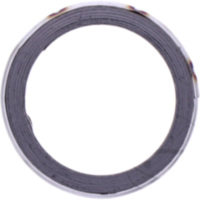 Exhaust gasket S410510012002