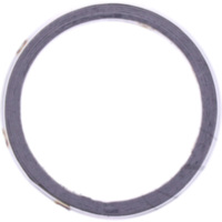 Exhaust gasket S410510012016