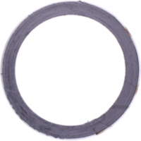 Exhaust gasket S410485012002