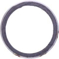 Exhaust gasket S410210012020