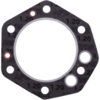 Cylinder head gasket S410190001022