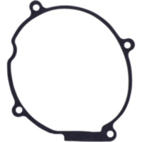 Generator cover gasket S410210149021