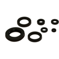 Engine oil seal kit OSL110