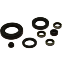 Engine oil seal kit OSL421