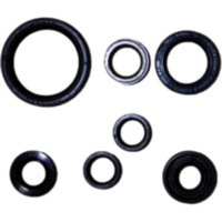 Engine oil seal kit P400485400069