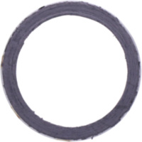 Exhaust gasket S410485012001