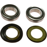 Steering head bearing kit 520729040