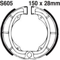 Bremsbacken mit Feder EBC S605G