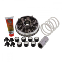 VARIOM TUNING Malossi 5115308