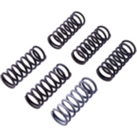 Clutch spring kit reinforced trw MEF3056