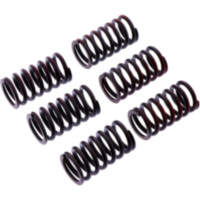 Clutch spring kit reinforced trw MEF3176