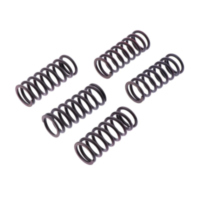 Clutch spring kit reinforced trw MEF3105