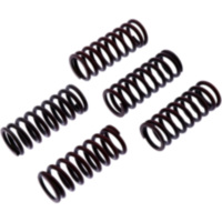 Clutch spring kit reinforced trw MEF3275