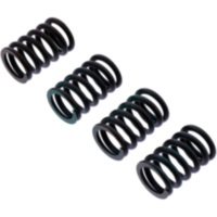 Clutch spring kit reinforced trw MEF3294