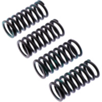 Clutch spring kit reinforced trw MEF3314