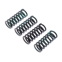 Clutch spring kit reinforced trw MEF3304