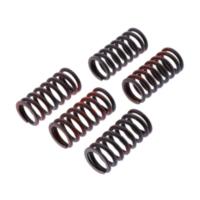 Clutch spring kit reinforced trw MEF3175