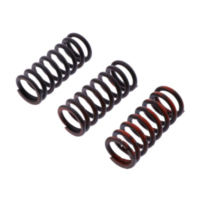 Clutch spring kit reinforced trw MEF3243