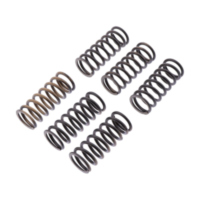 Clutch spring kit reinforced trw MEF3396