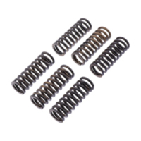 Clutch spring kit reinforced trw MEF3406