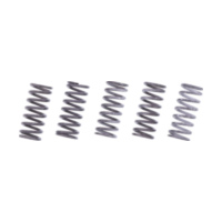 Clutch spring kit reinforced trw MEF3635