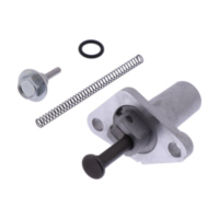 Steuerkettenspanner Originalersatzteil 1013846
