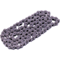 CAM CHAIN ENDLESS DID 1548