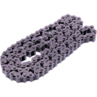 CAM CHAIN ENDLESS DID 1581