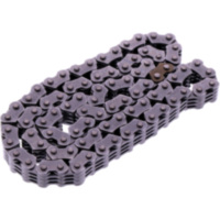 CAM CHAIN ENDLESS DID 1594