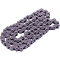 CAM CHAIN ENDLESS DID 1602
