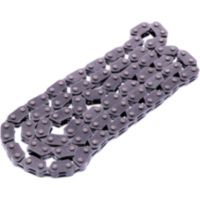 CAM CHAIN ENDLESS DID 1607