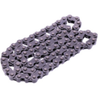 CAM CHAIN ENDLESS DID 1613