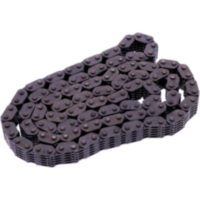 CAM CHAIN ENDLESS BORG WARNER MORSE 1756