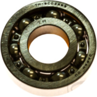 Bearing TMSC03A53C3