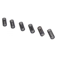 Clutch spring kit (6) CSK036