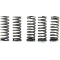 Clutch spring kit (5) CSK097