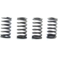 Clutch spring kit (4) CSK098